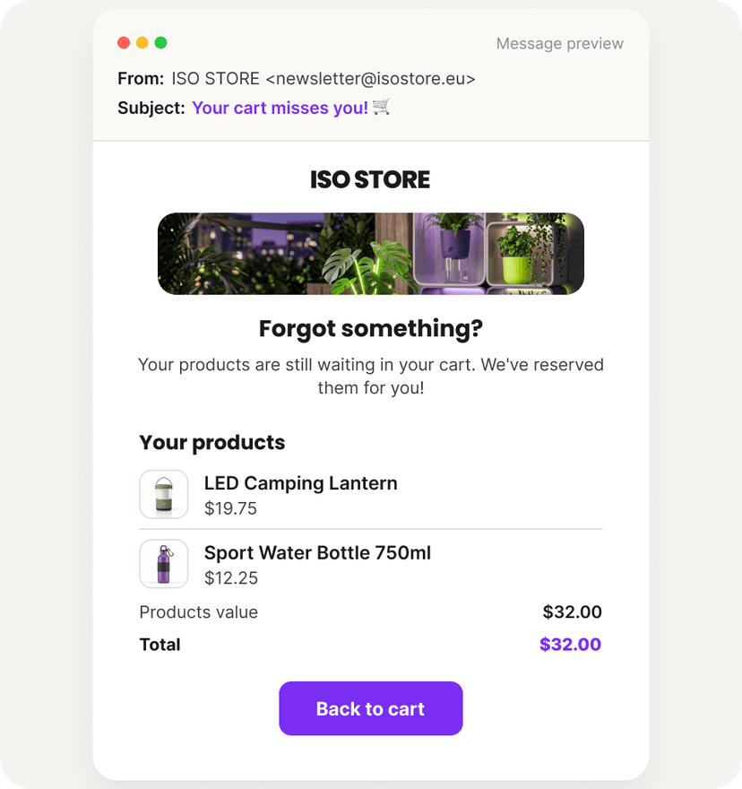 Example of an email signup