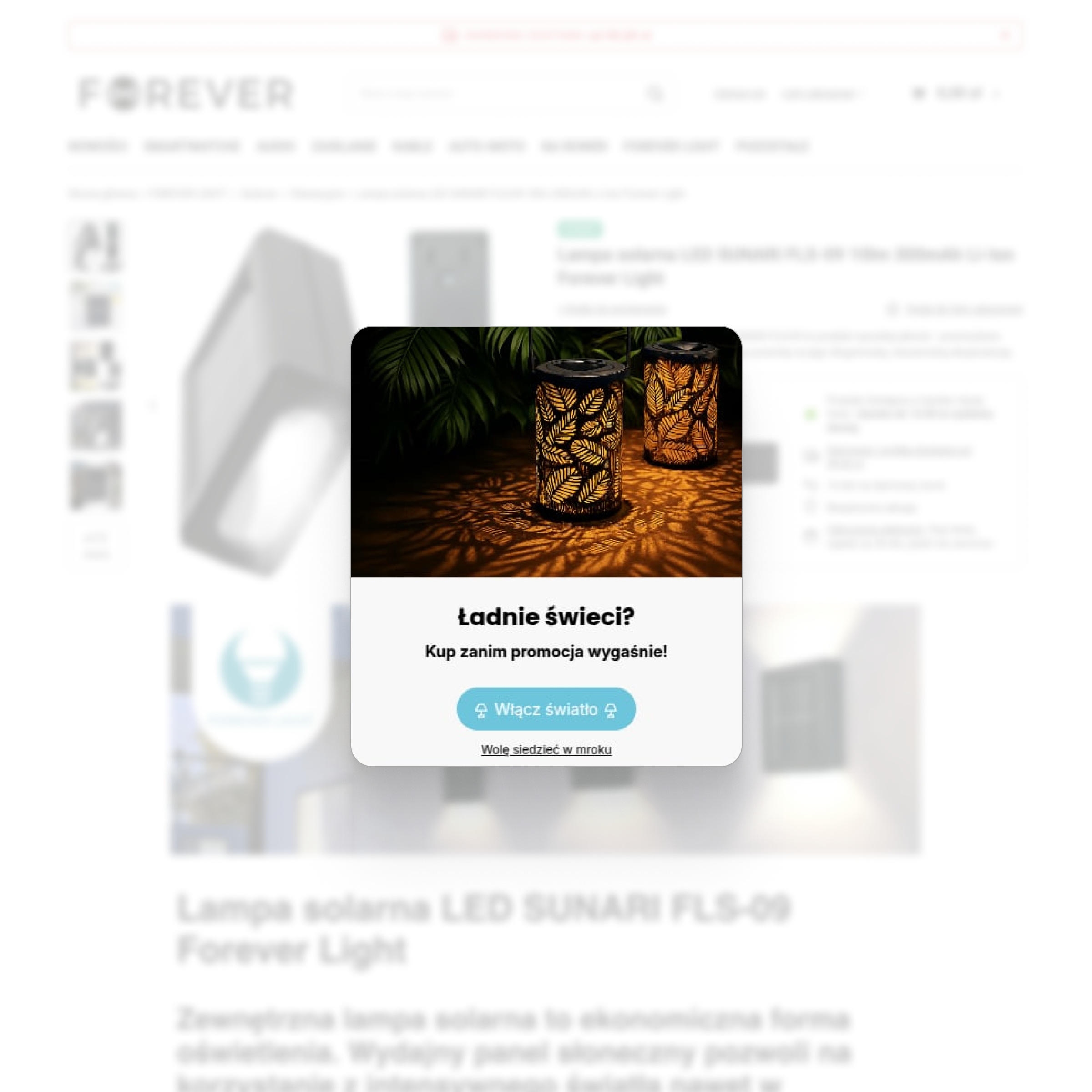 forever.eu - zdjęcie 3